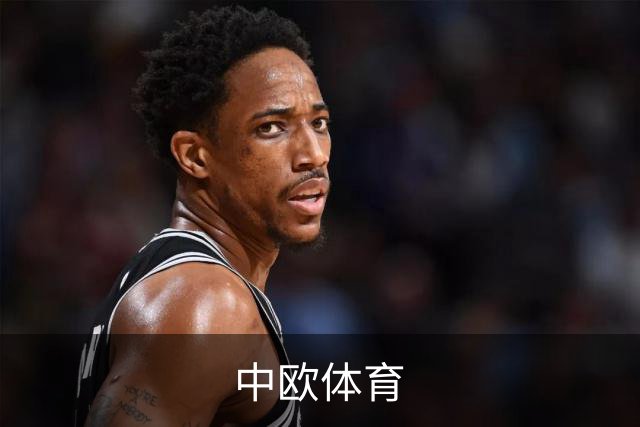 中欧体育公司介绍图片